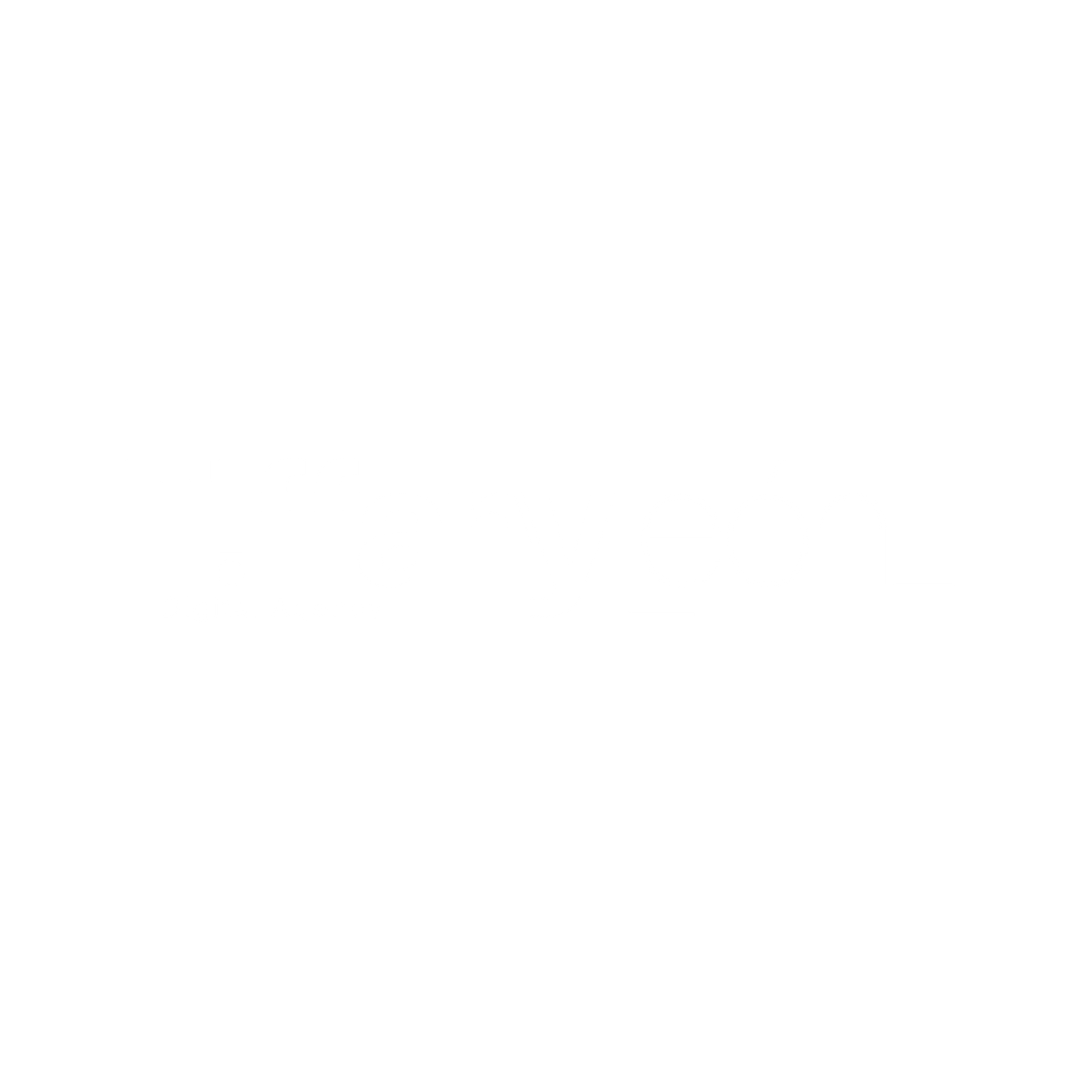 tiffanyleondigitalagency.com favicon